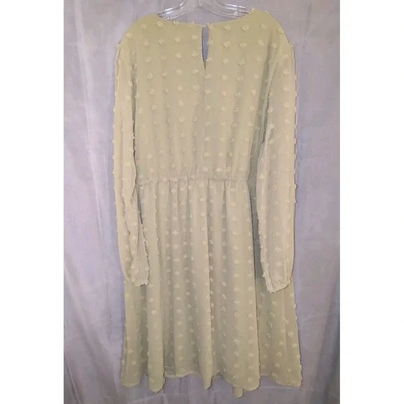NWT Hanna Nicole Dress With‎ Sheer Long Sleeves Size 20W Light Green Mature - Picture 4 of 10